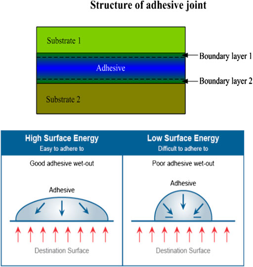 Frontiers  Adhesion of Teeth