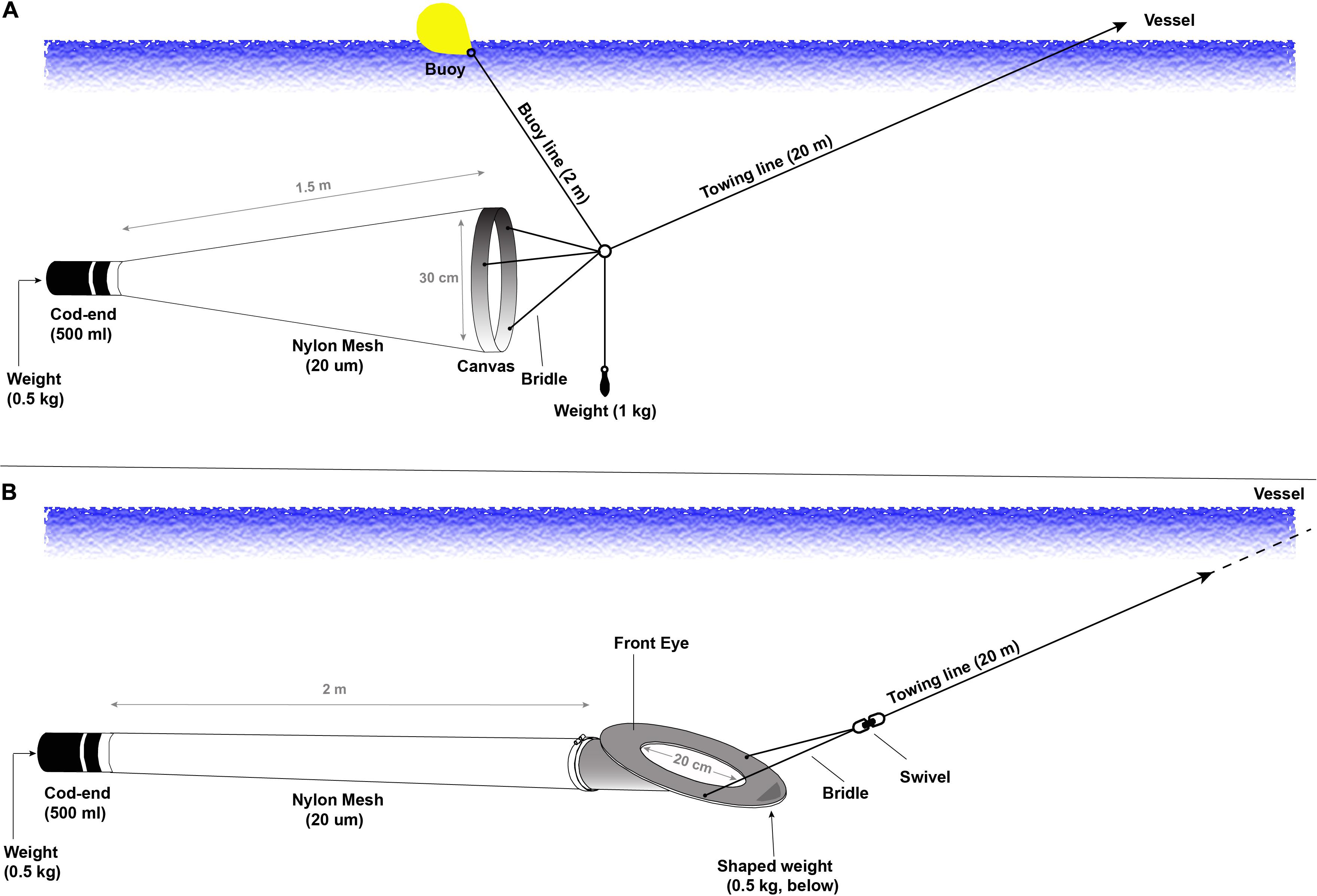 Frontiers  A Portable Cruising Speed Net: Expanding Global Collection of  Sea Surface Plankton Data