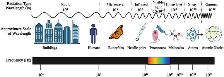 Figure 1 - The properties of the electromagnetic spectrum.