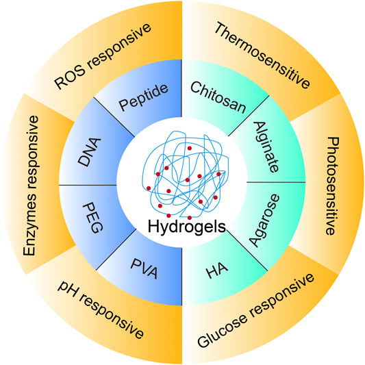 Review of chemo‐responsive shape change/memory polymers