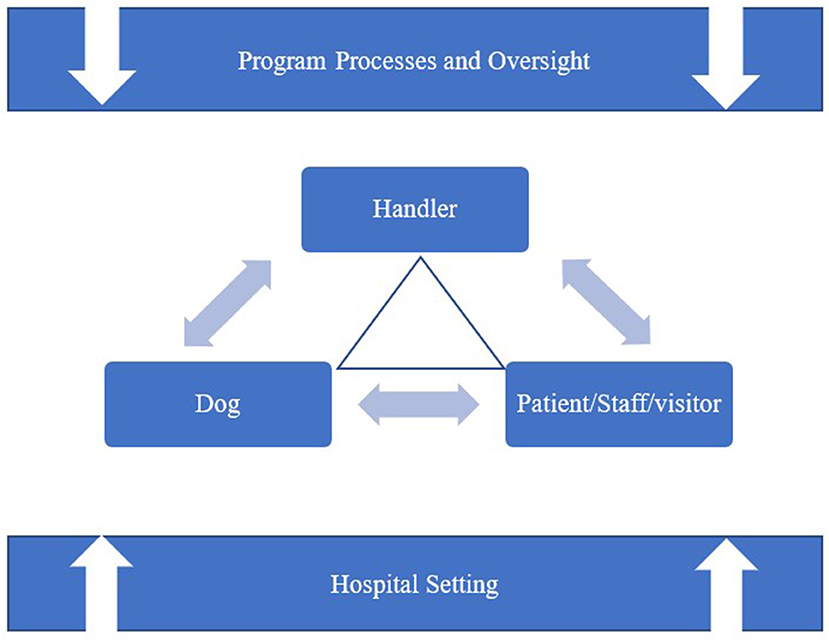 Frontiers | Canine-Assisted Interventions in Hospitals: Best Practices for  Maximizing Human and Canine Safety
