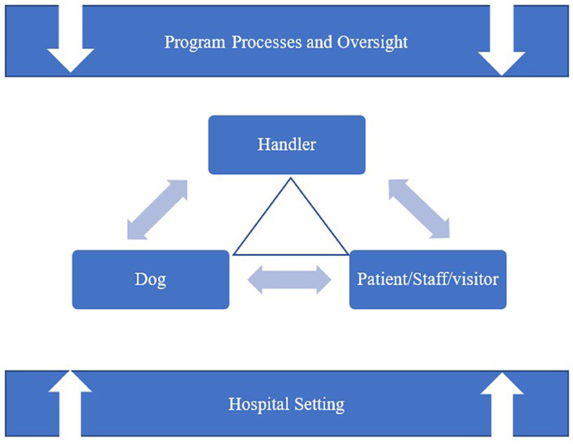 Dog shop ka hospital