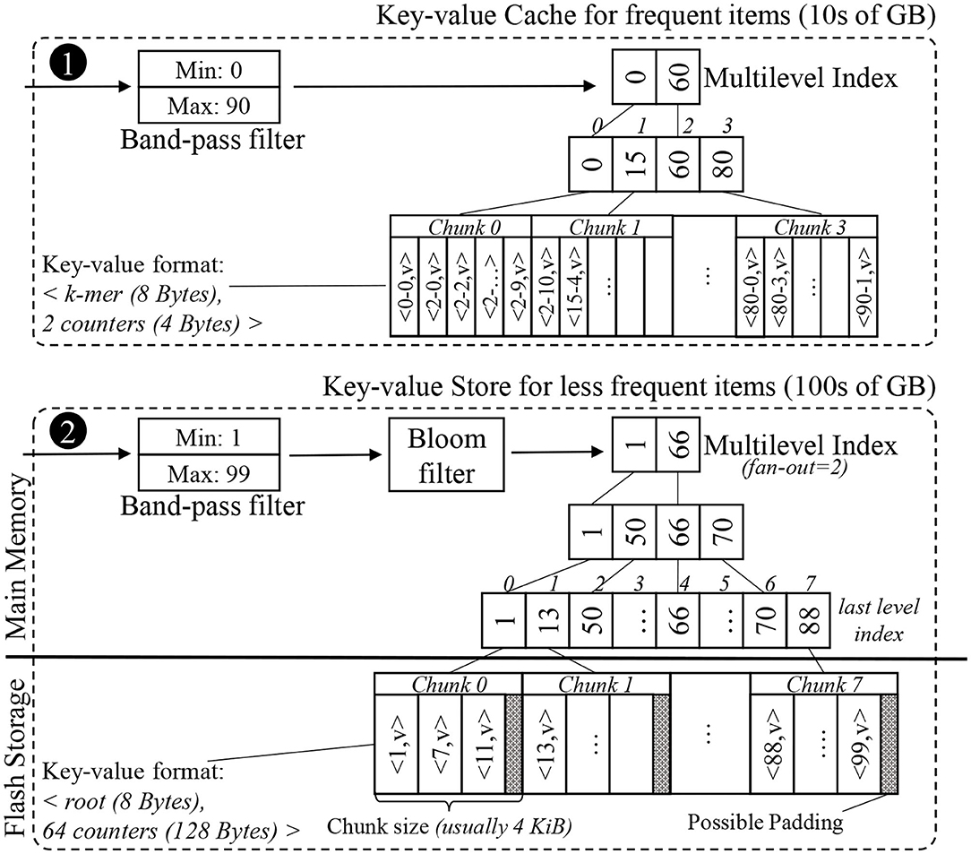 Sequencing Coverage for NGS Experiments