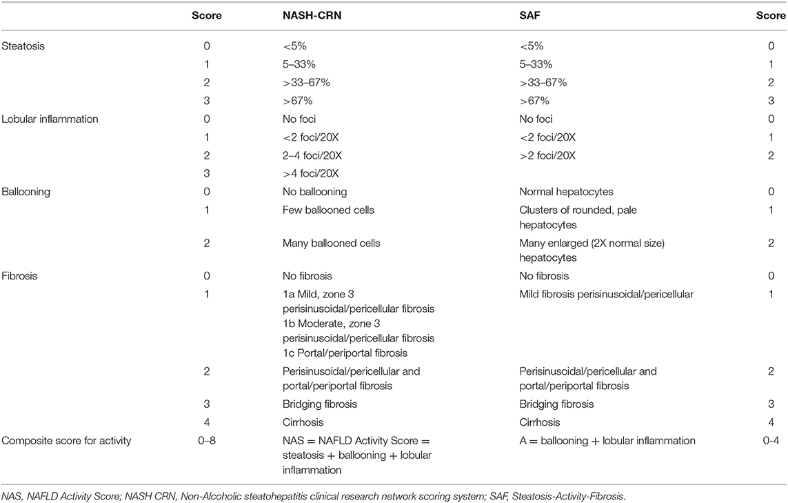 Liver Nas Score