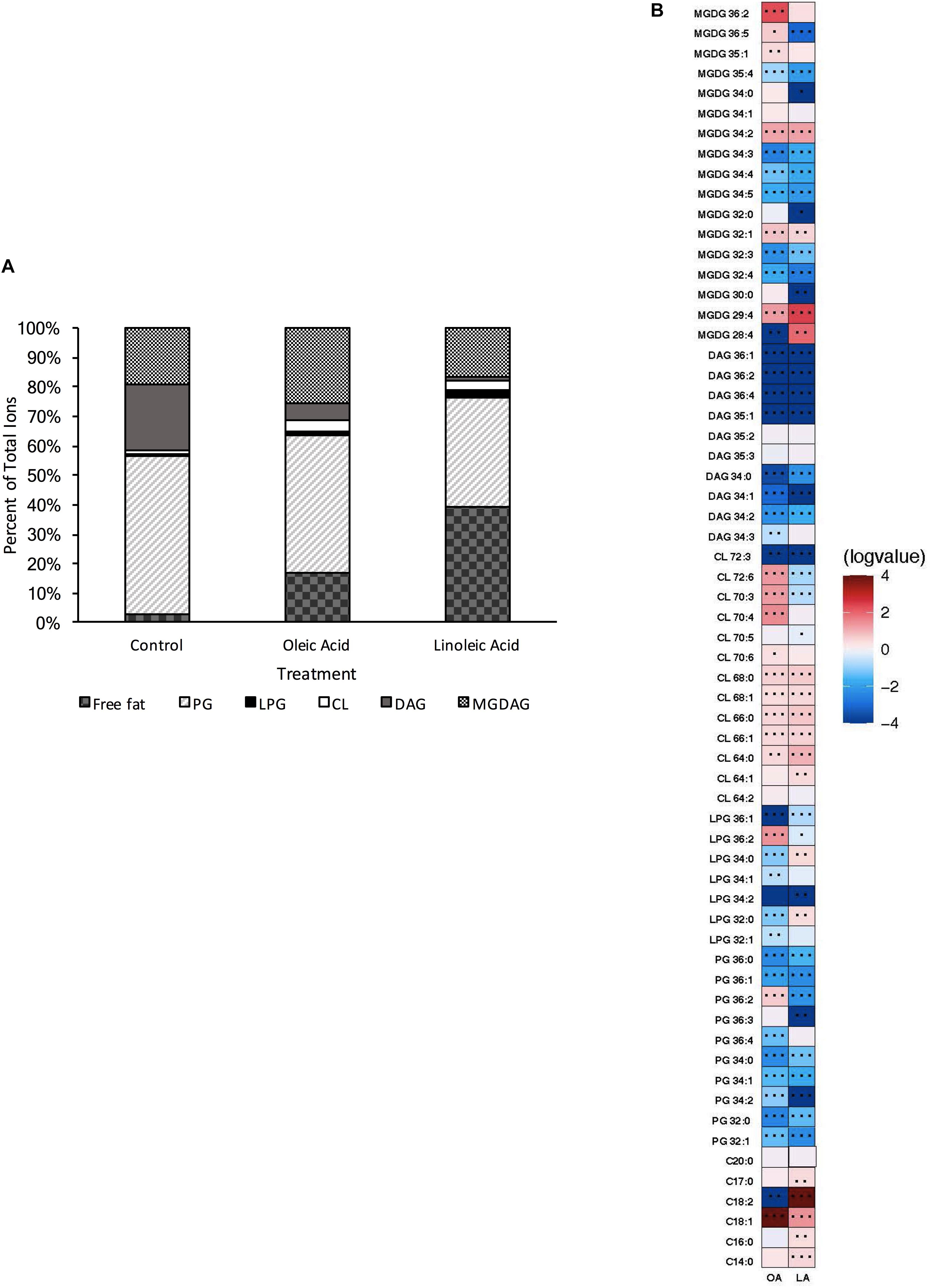 frontiers enterococcus faecalis readily adapts membrane phospholipid composition to environmental and genetic perturbation microbiology