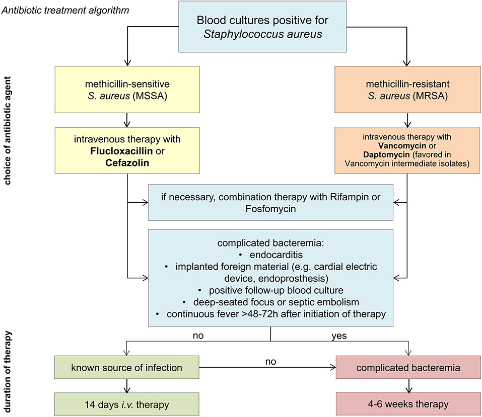 Samaritan Infectious Disease - Staphylococcus aureus Bacteremia