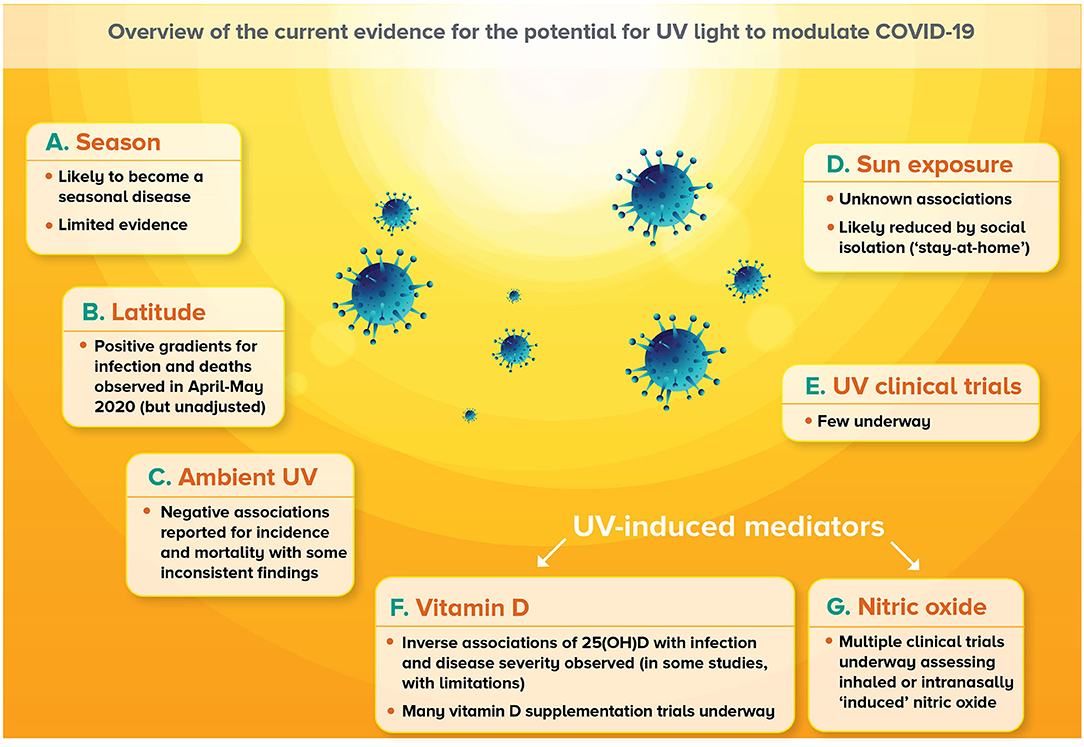 Frontiers | Investigating the Potential for Ultraviolet Light to Morbidity and Mortality From COVID-19: A Narrative Review and Update