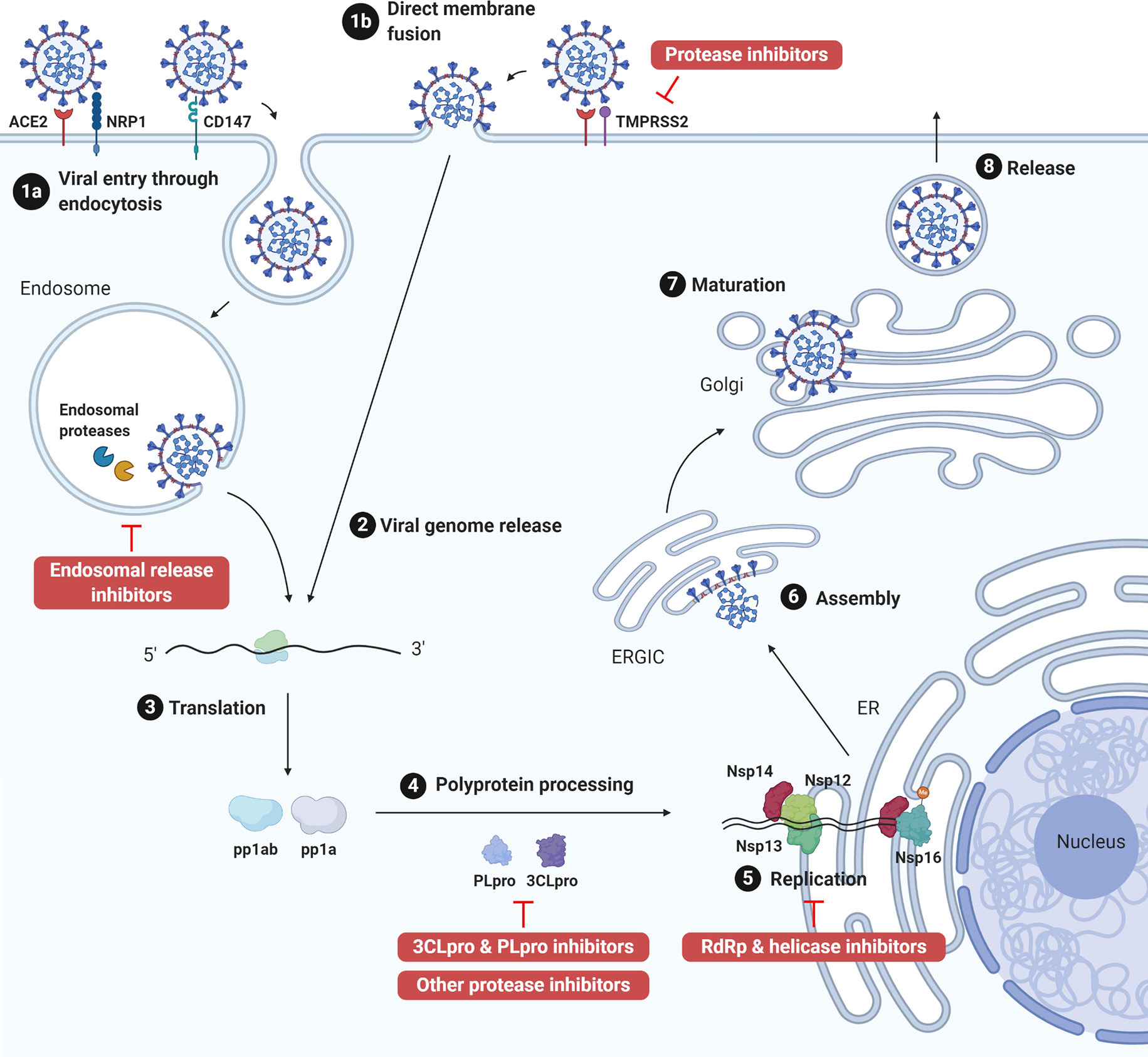 • Vezi subiect - Vindecarea cancerului cu H2O2, DMSO si Albastru de Metilen