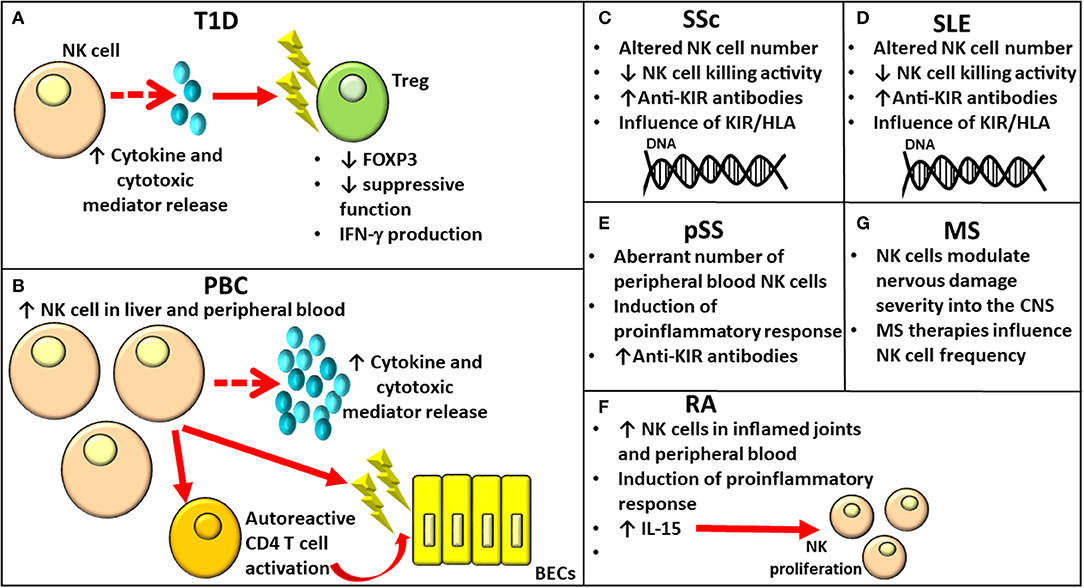 CGRP inhibits SARS-CoV-2 infection of bronchial epithelial cells, and its  pulmonary levels correlate with viral clearance in critical COVID-19  patients | Journal of Virology