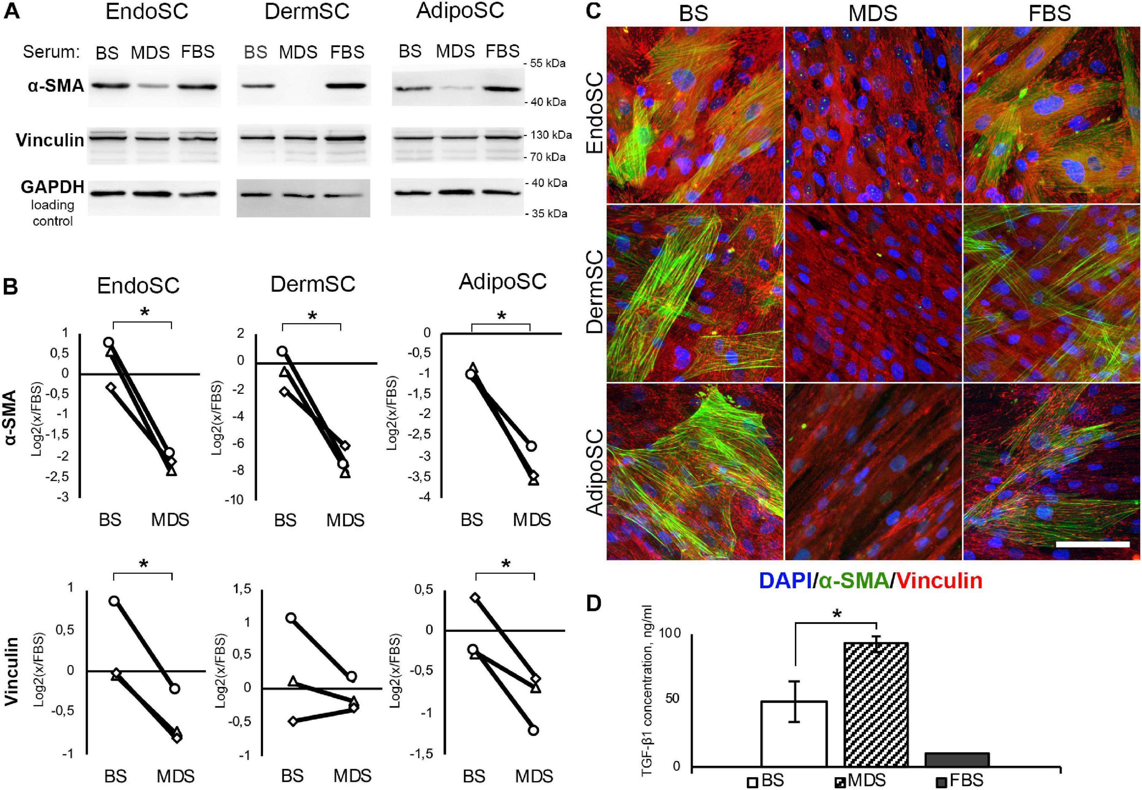 Frontiers Scar Free Healing Of Endometrium Tissue Specific Program Of Stromal Cells And Its Induction By Soluble Factors Produced After Damage Cell And Developmental Biology