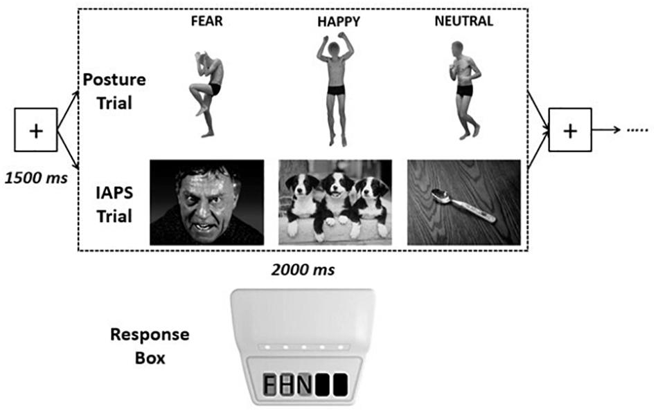 Summary of effects of different body positions on IAP compared to the