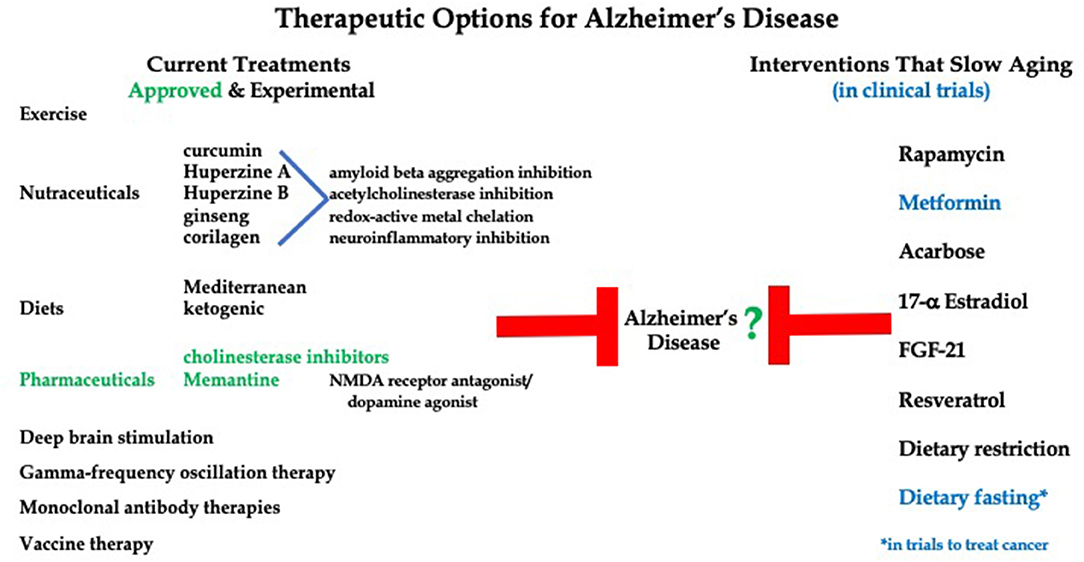 Alzheimer's disease: Can time-restricted eating improve symptoms?