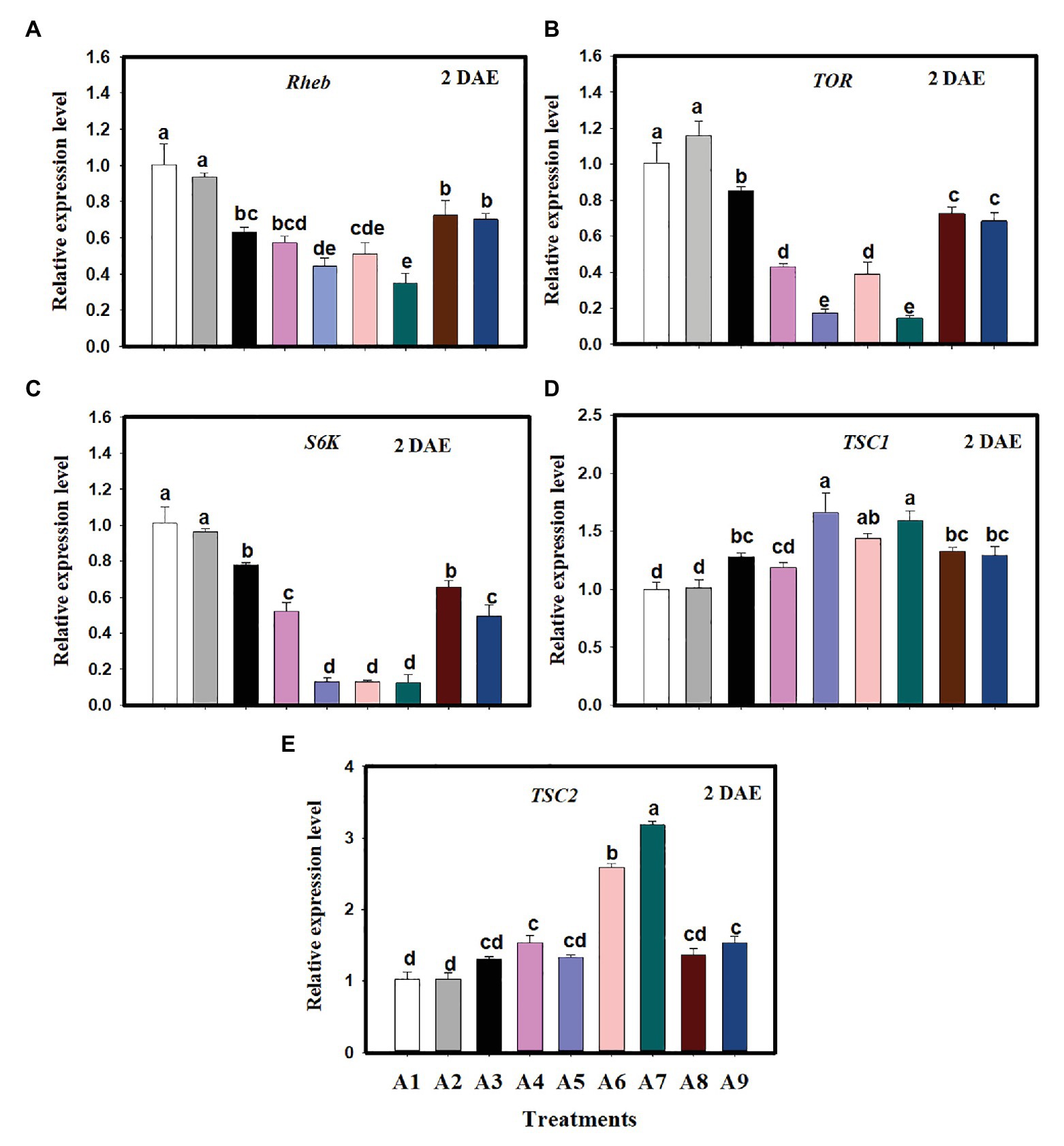 Frontiers | The Amino Acid-Mediated TOR Pathway Regulates 