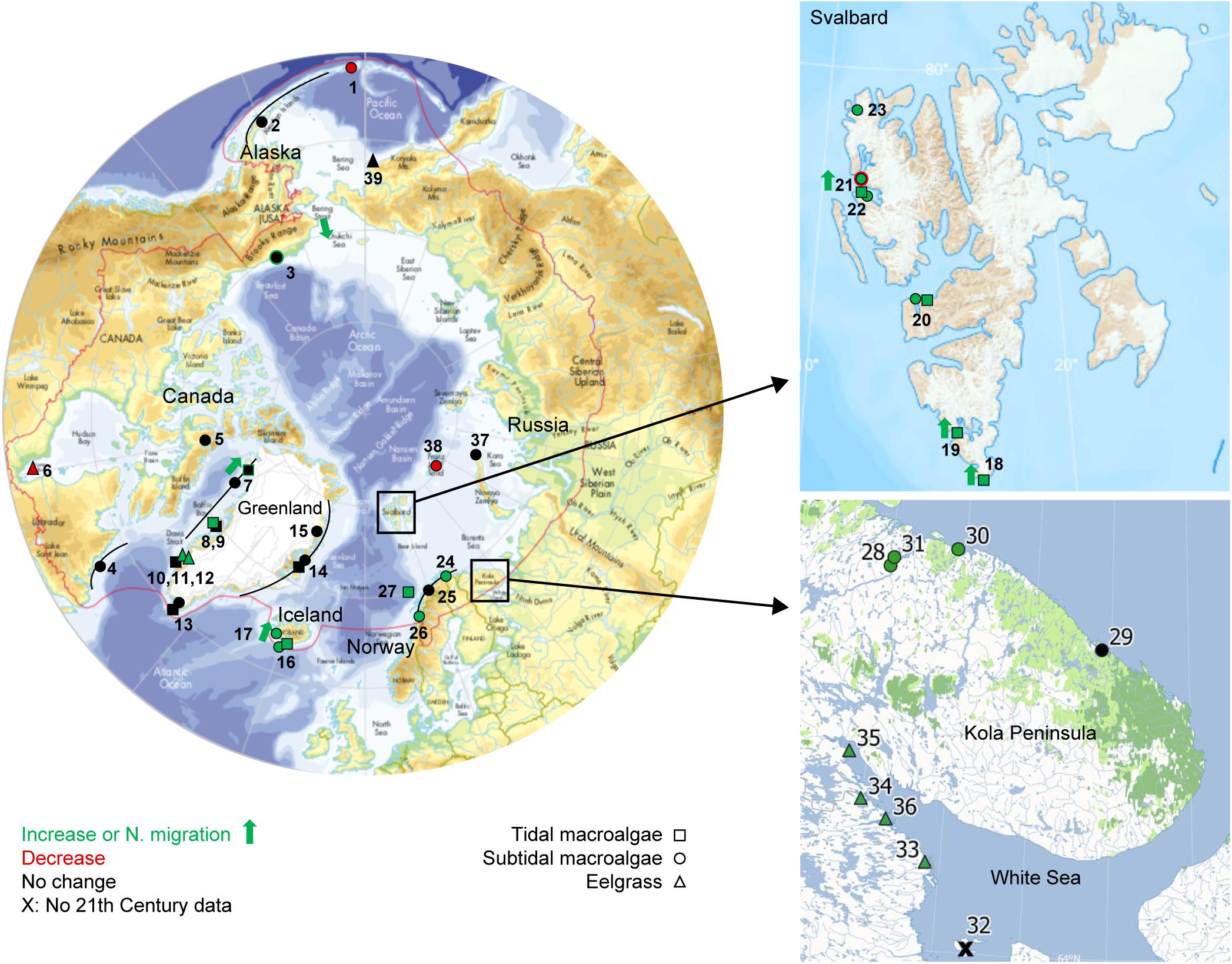 Long-term stability in the circumpolar foraging range of a Southern Ocean  predator between the eras of whaling and rapid climate change