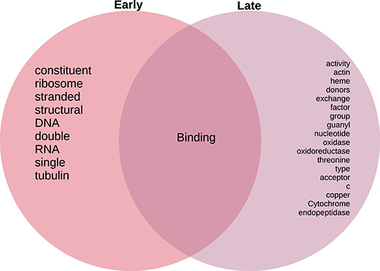 www.frontiersin.org