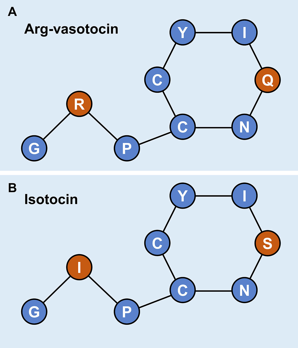 www.frontiersin.org