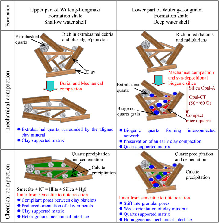 Microfabric and cathodoluminescence characteristics of the coating of