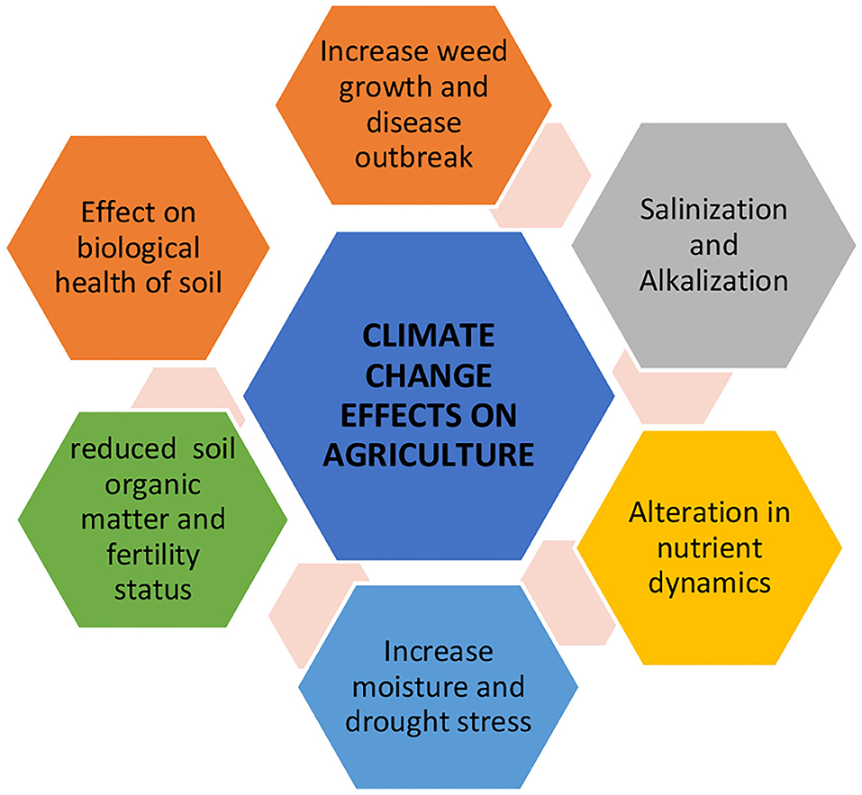 research paper on impact of climate change on agriculture