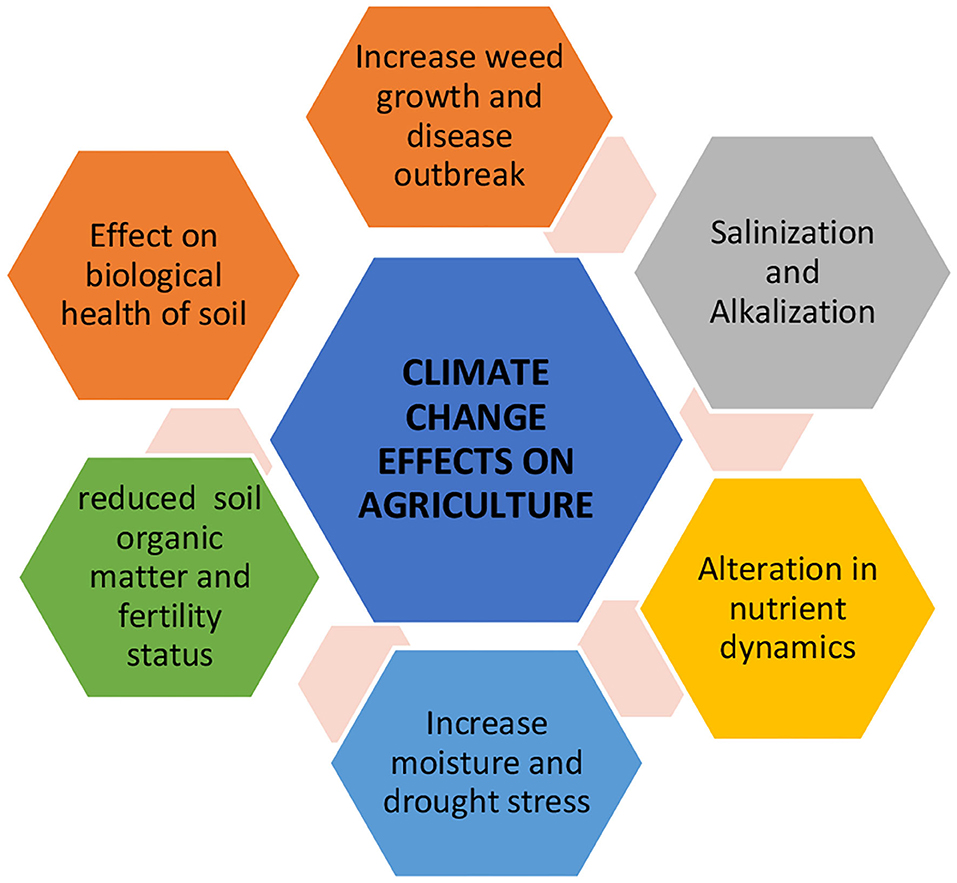 literature review on effects of climate change on agriculture