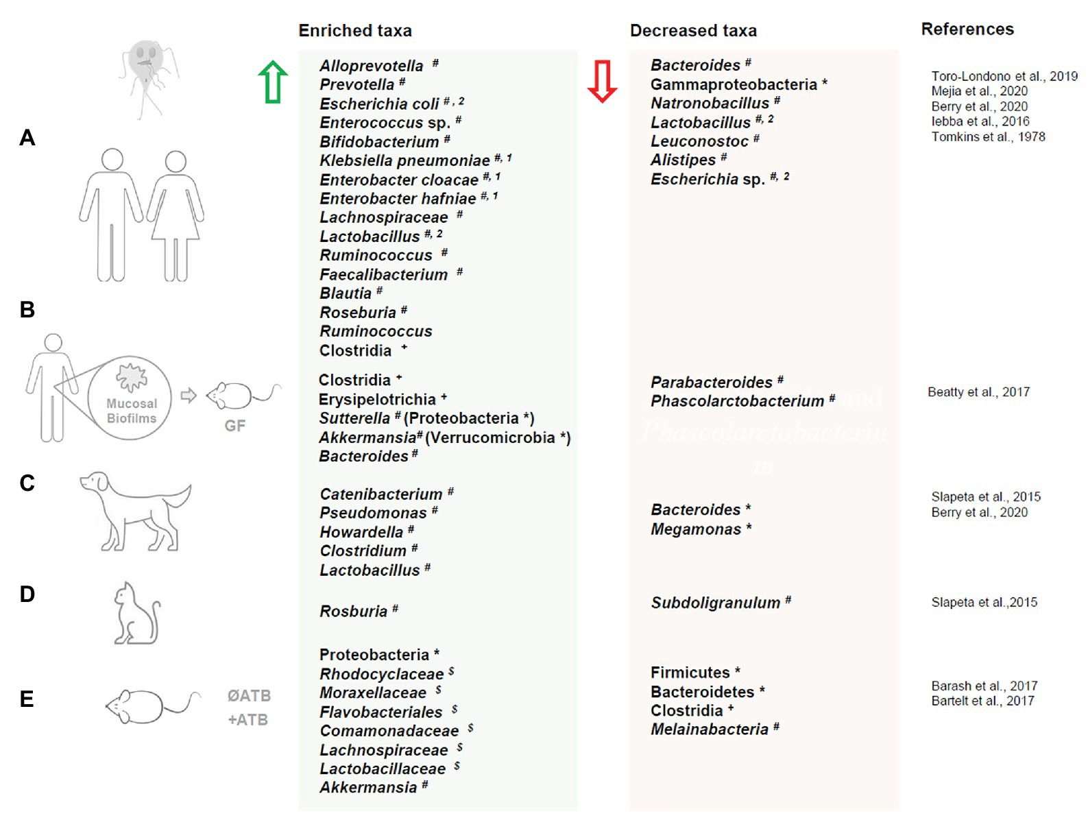 giardia antibiotics)