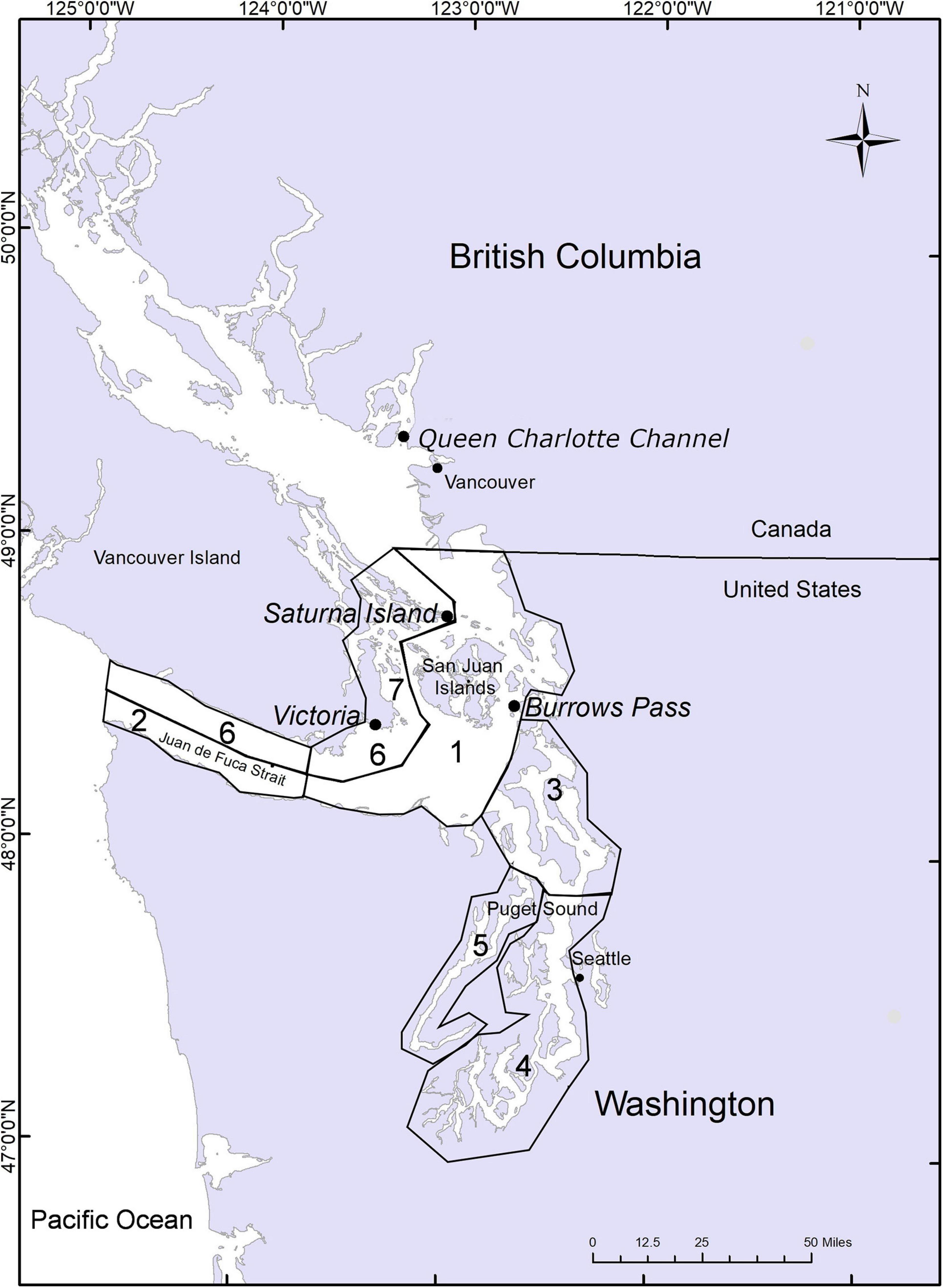 Frontiers Return of the Salish Sea Harbor Porpoise, Phocoena phocoena Knowledge Gaps, Current Research, and What We Need to Do to Protect Their Future picture