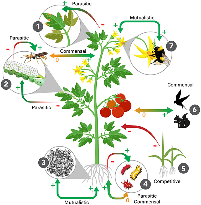 Coevolution