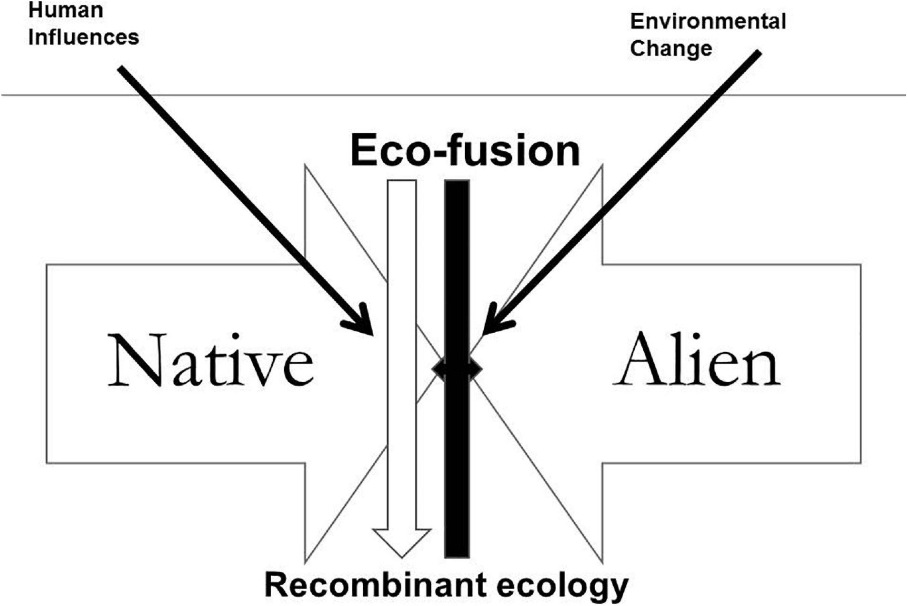 www.frontiersin.org