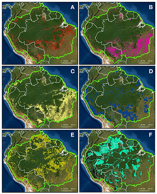 Brazil's Atlantic Forest will radically change in the next 50 years