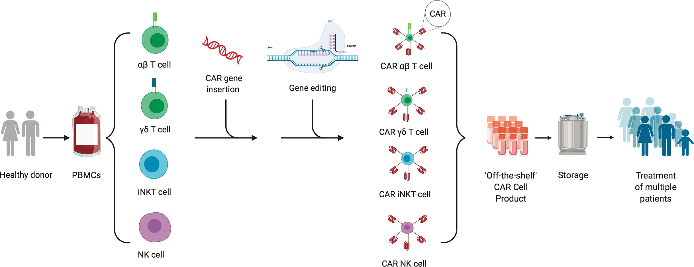 immunotherapy for mesothelioma rationale and new approaches