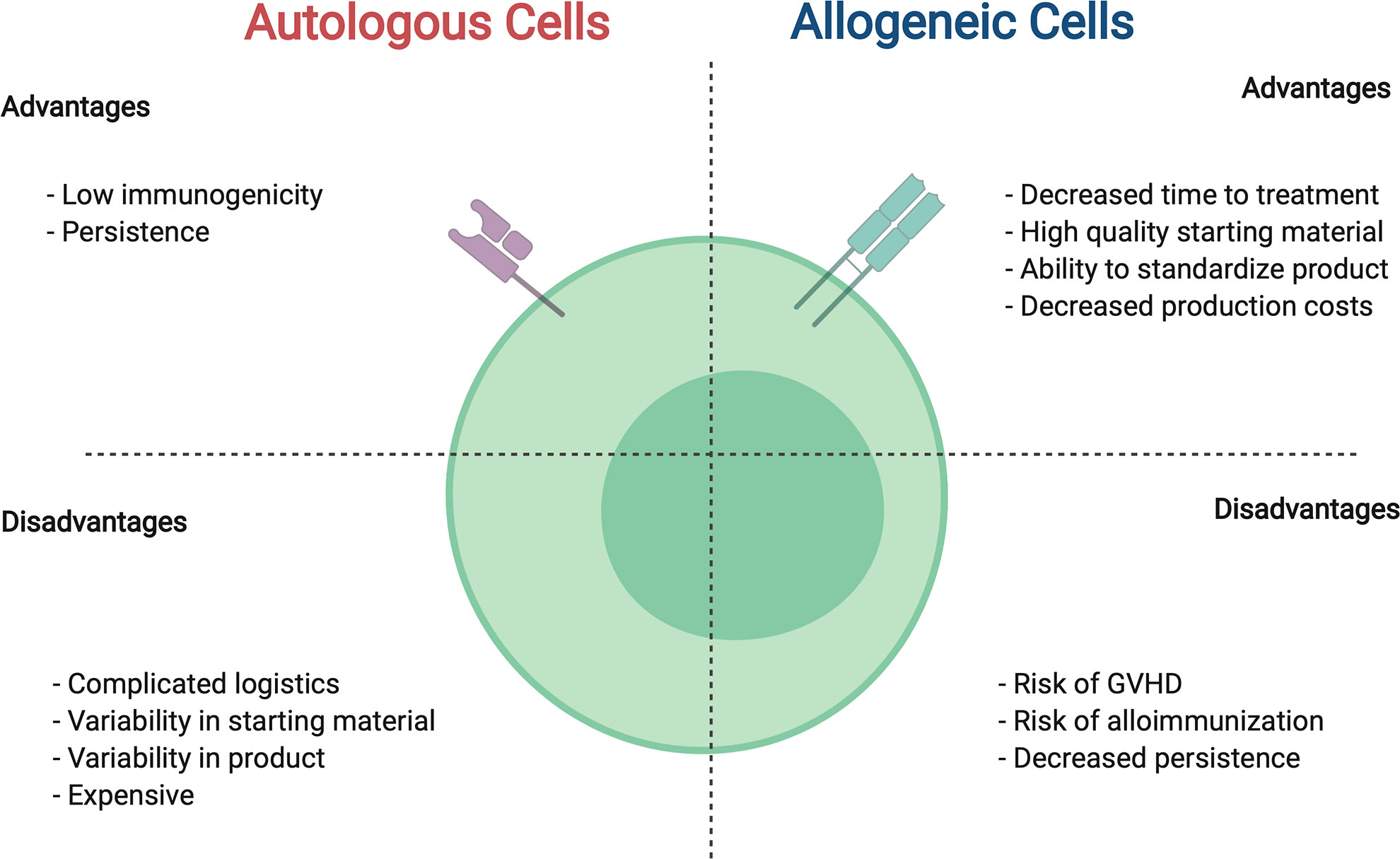 advantage of autologous stem cell transplant