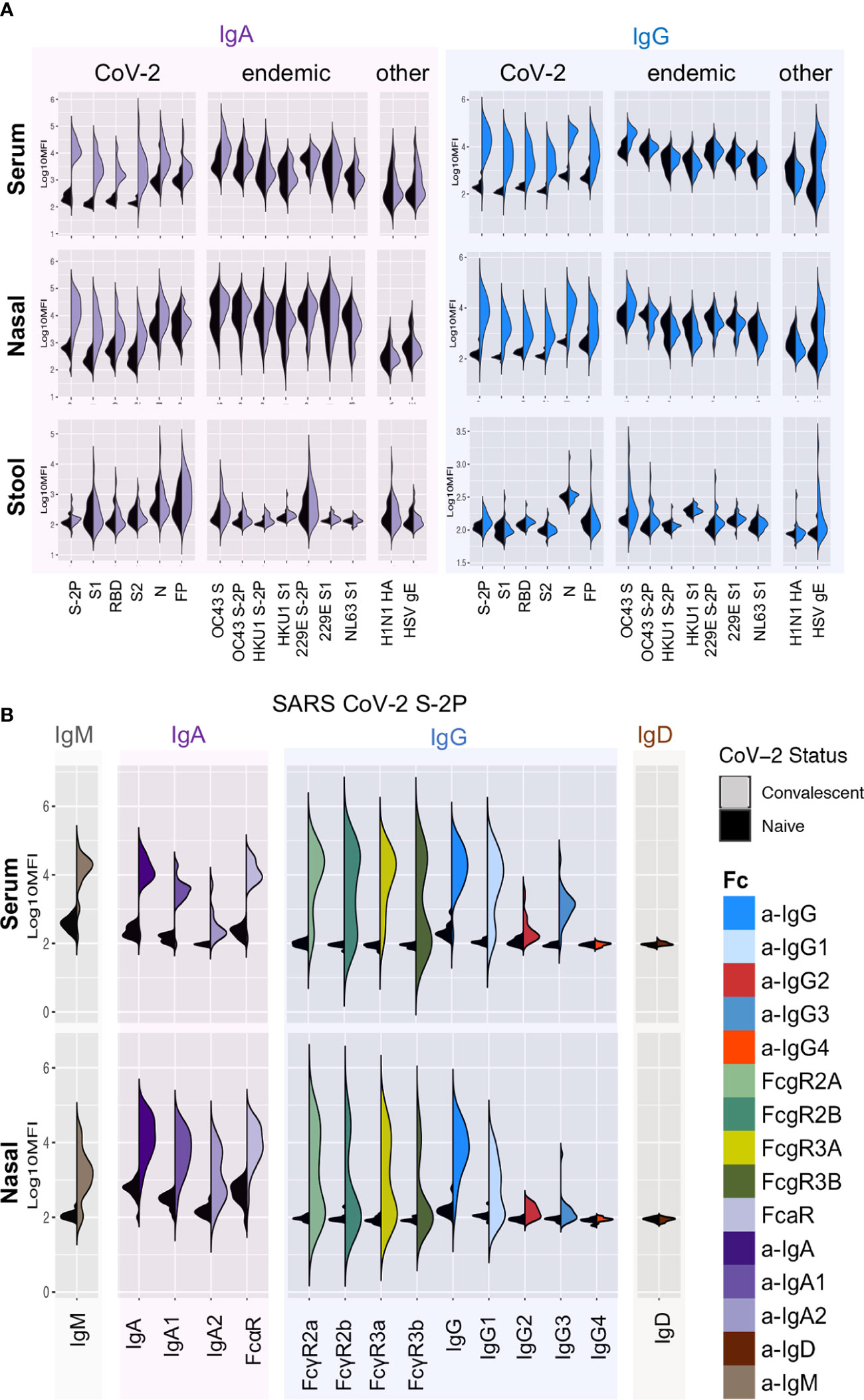 Frontiers  C500 variants conveying complete mucosal immunity