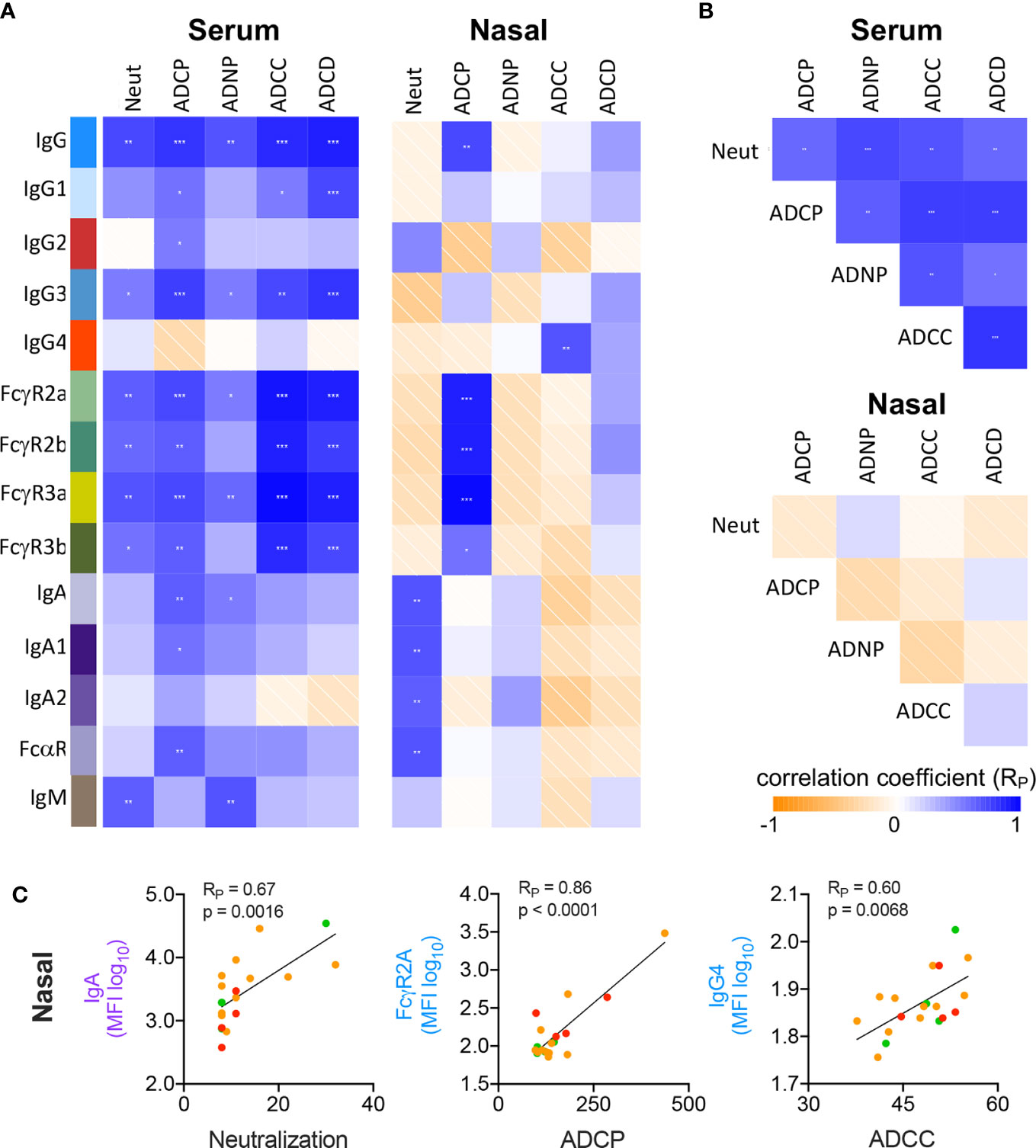 Frontiers  C500 variants conveying complete mucosal immunity