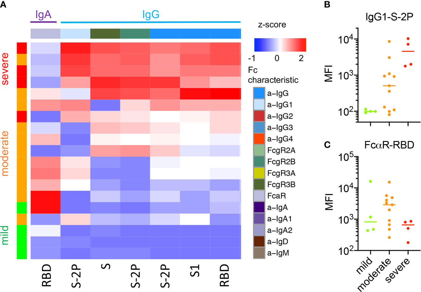 Frontiers  C500 variants conveying complete mucosal immunity