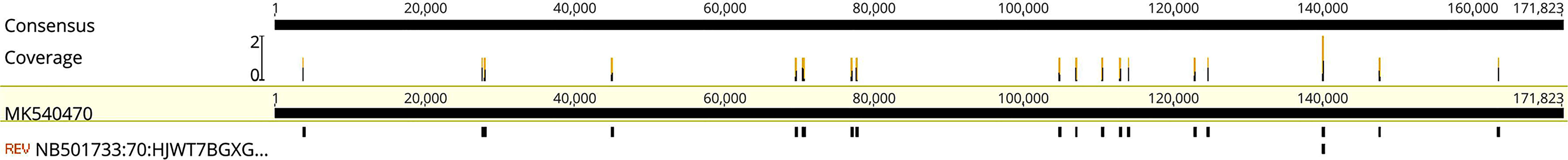 www.frontiersin.org