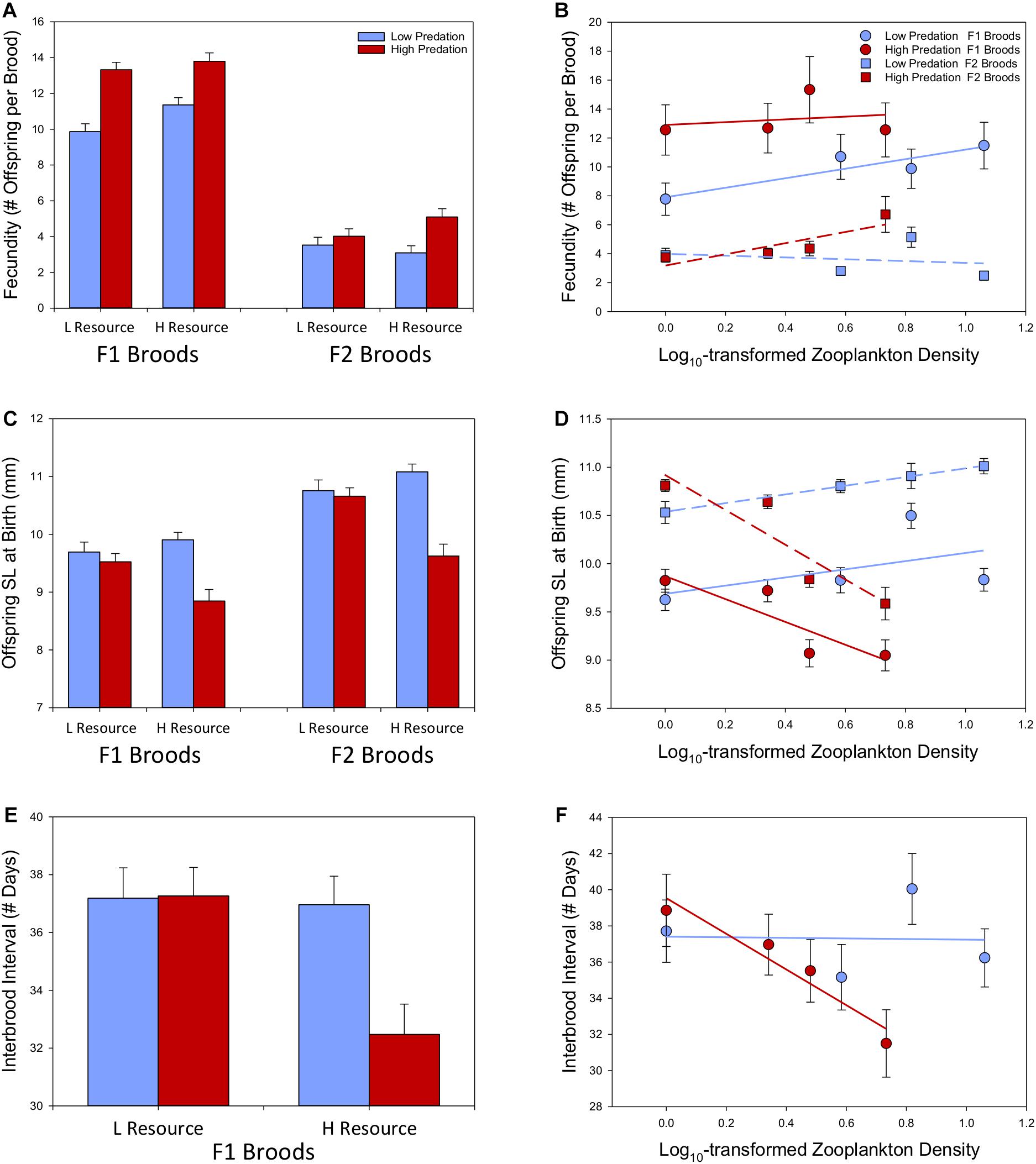 Ecology, Evolution, and Behavior of Viviparous Fishes