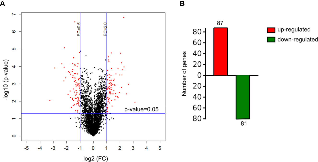 Frontiers | Relief of Cadmium-Induced Intestinal Motility