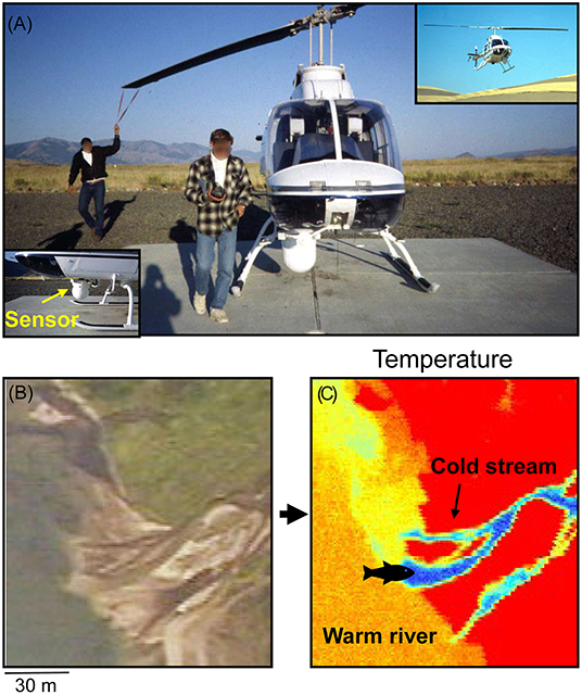 Figure 2 - (A) Thermal infrared images were obtained with sensors mounted on a helicopter.