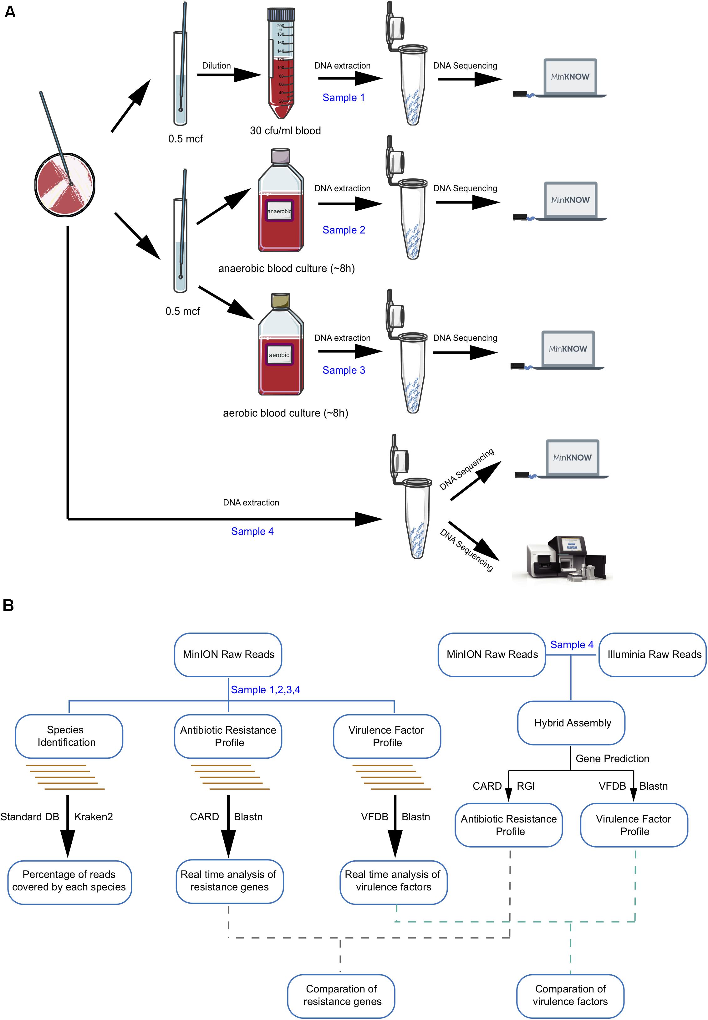 Innovating Science Genetics of Blood Types Using Simulated Blood Kit:Education