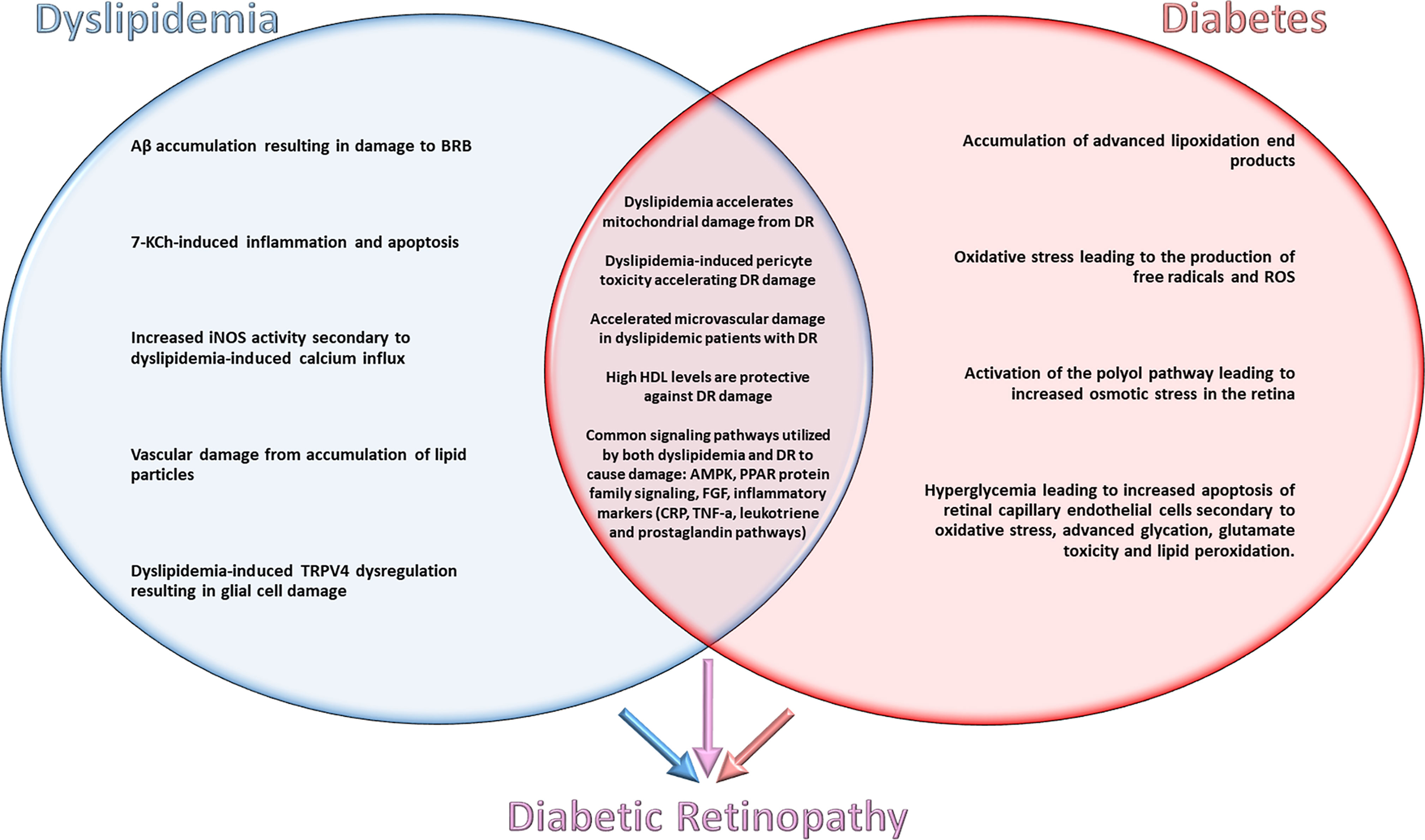 does diabetes cause hyperlipidemia)