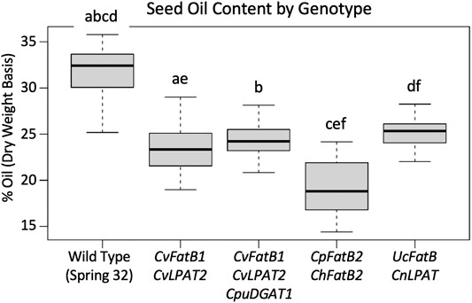 Frontiers | Generating Pennycress (Thlaspi arvense) Seed ...