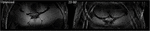 www.frontiersin.org