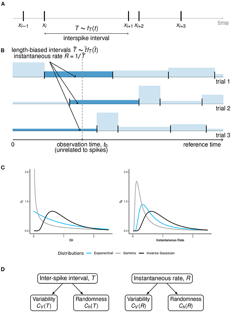 Frontiers  New insights on single-neuron selectivity in the era