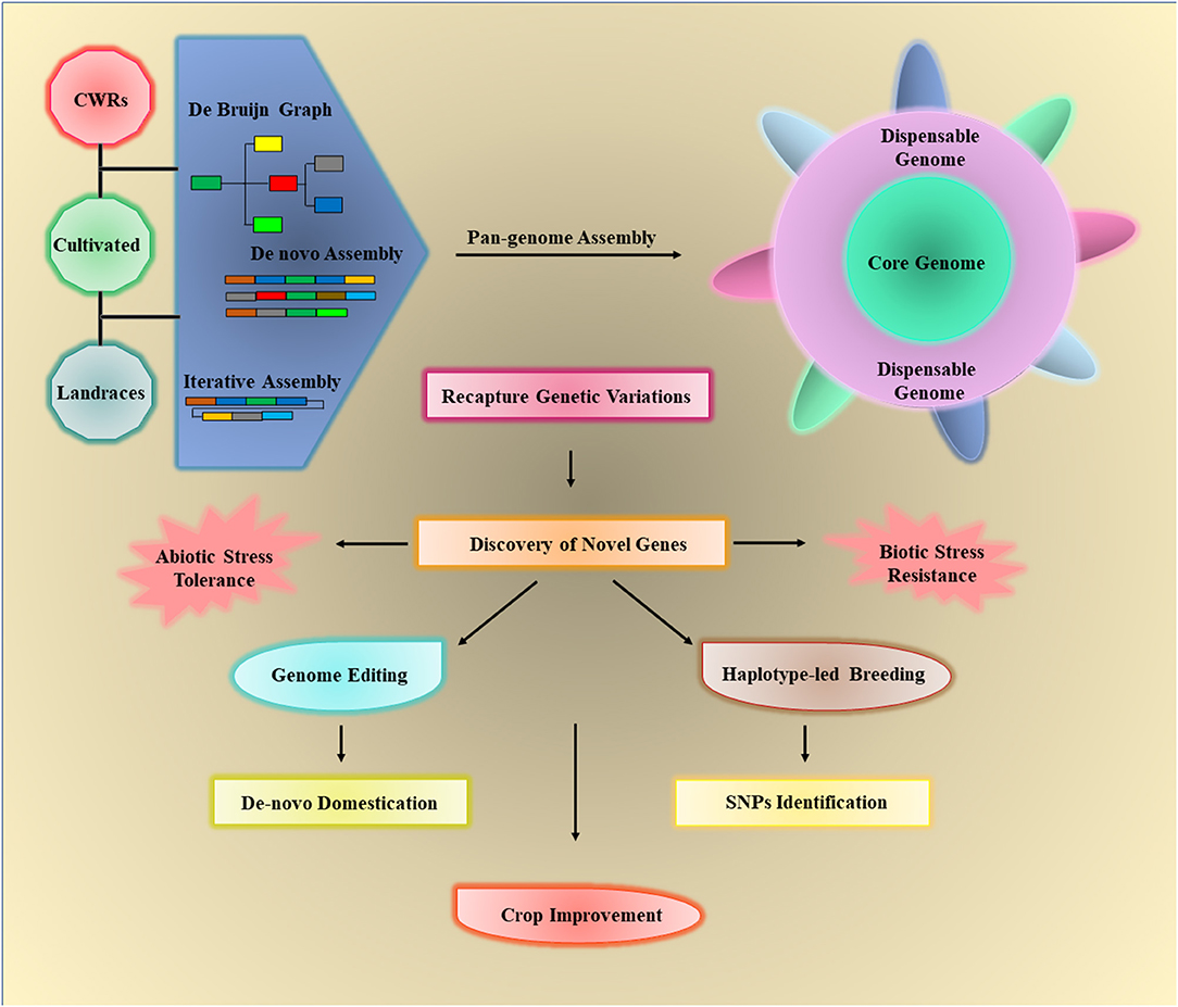 Frontiers  Breeding for Climate Change Resilience: A Case Study