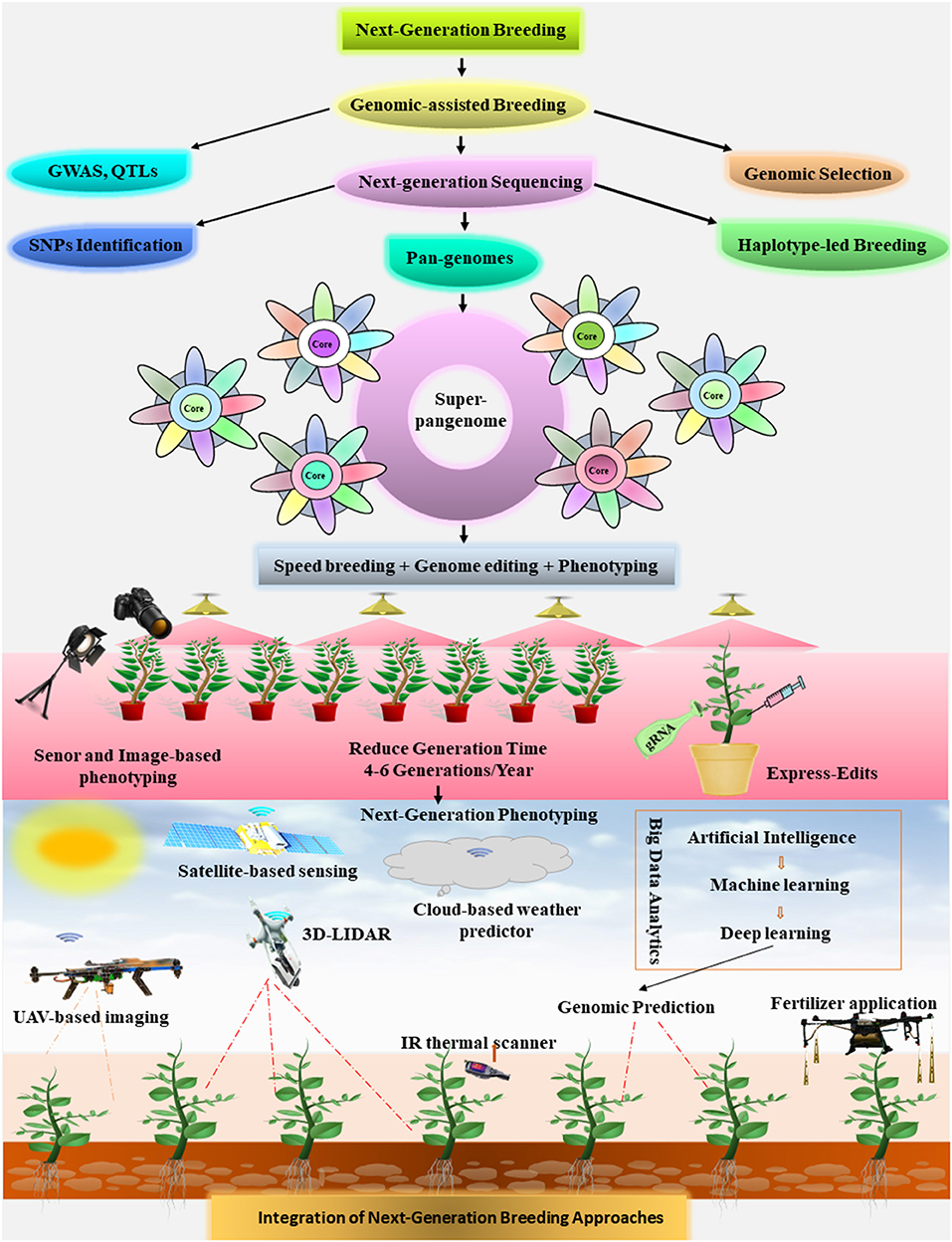 Frontiers Next Generation Breeding Strategies For Climate Ready Crops