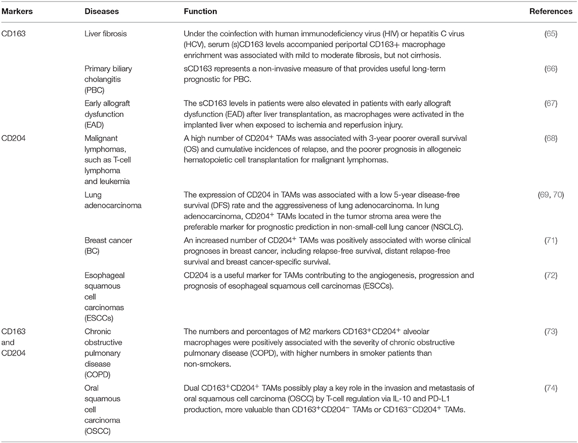 Frontiers | Function of Macrophages in Disease: Current Understanding ...