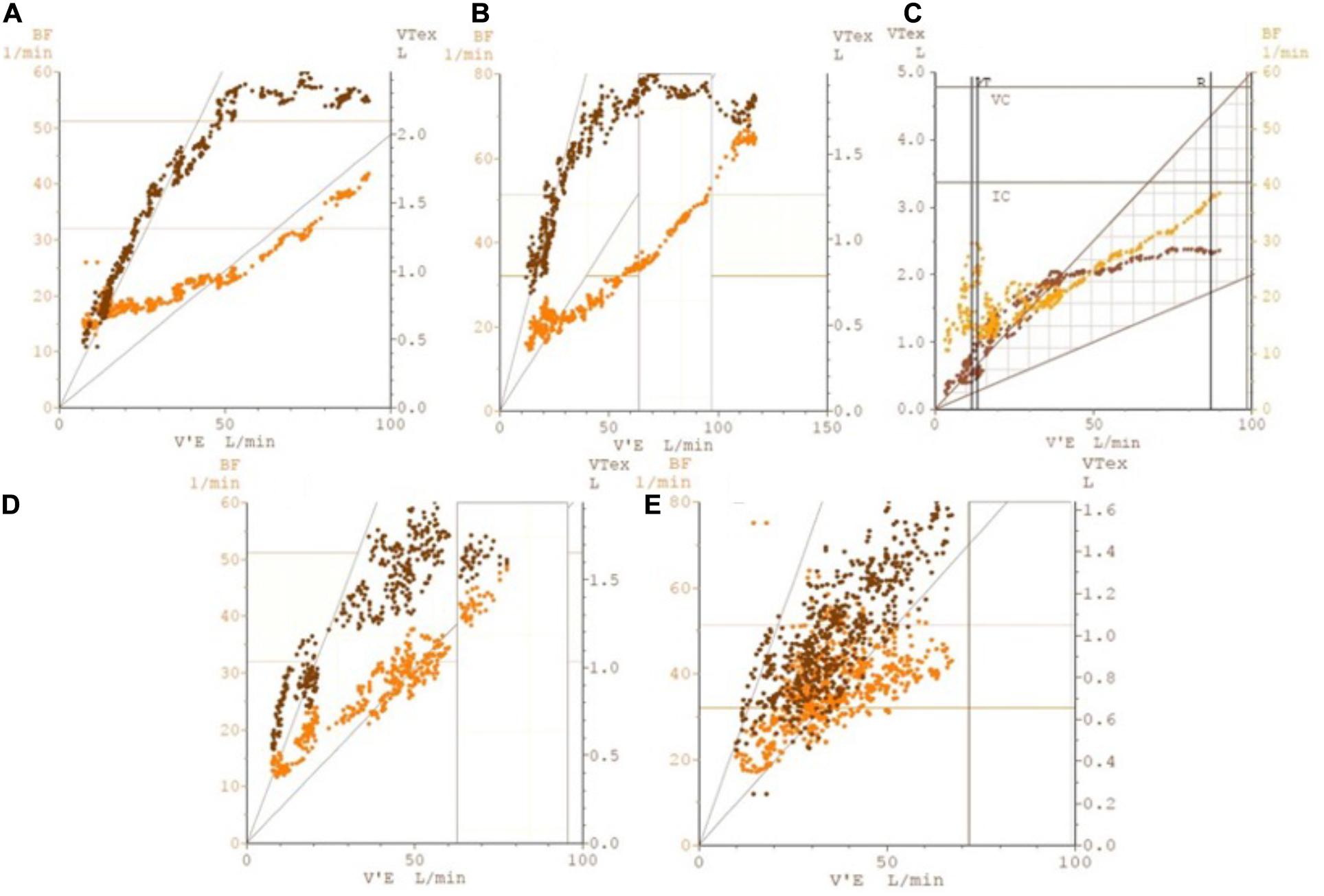 Frontiers  The utility of cardiopulmonary exercise testing in