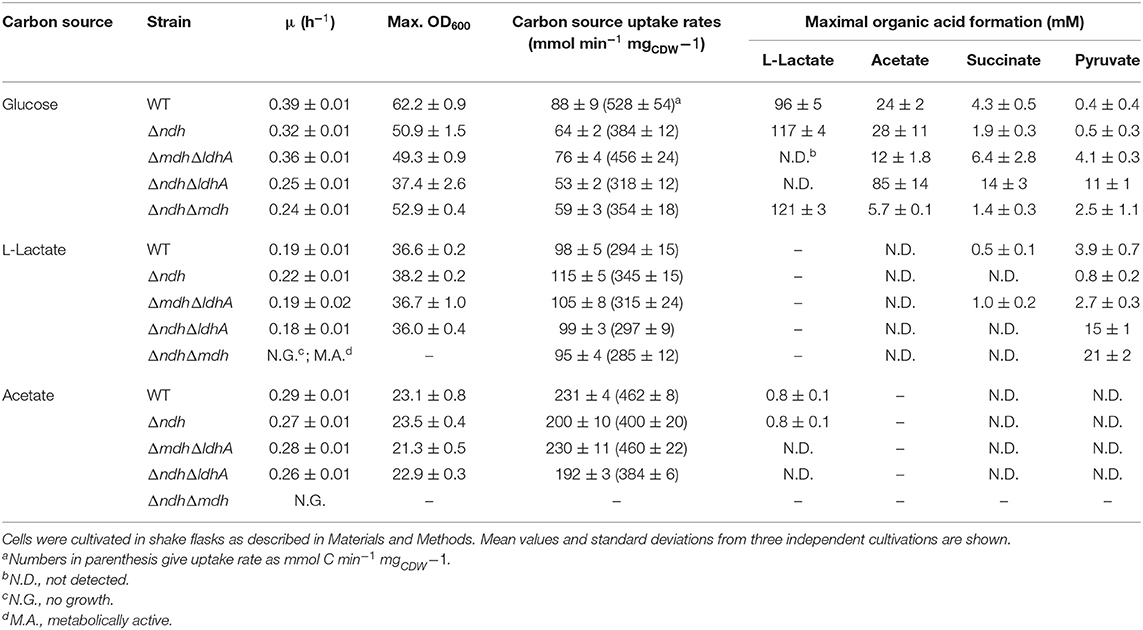 Frontiers Relevance Of Nadh Dehydrogenase And Alternative Two Enzyme Systems For Growth Of Corynebacterium Glutamicum With Glucose Lactate And Acetate Bioengineering And Biotechnology