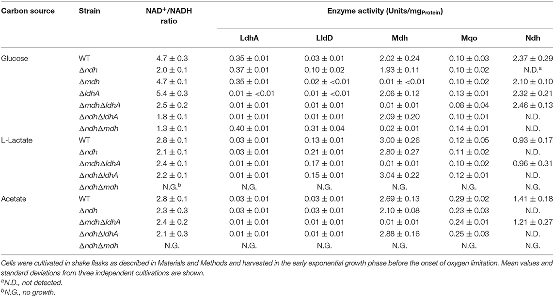 Frontiers Relevance Of Nadh Dehydrogenase And Alternative Two Enzyme Systems For Growth Of Corynebacterium Glutamicum With Glucose Lactate And Acetate Bioengineering And Biotechnology