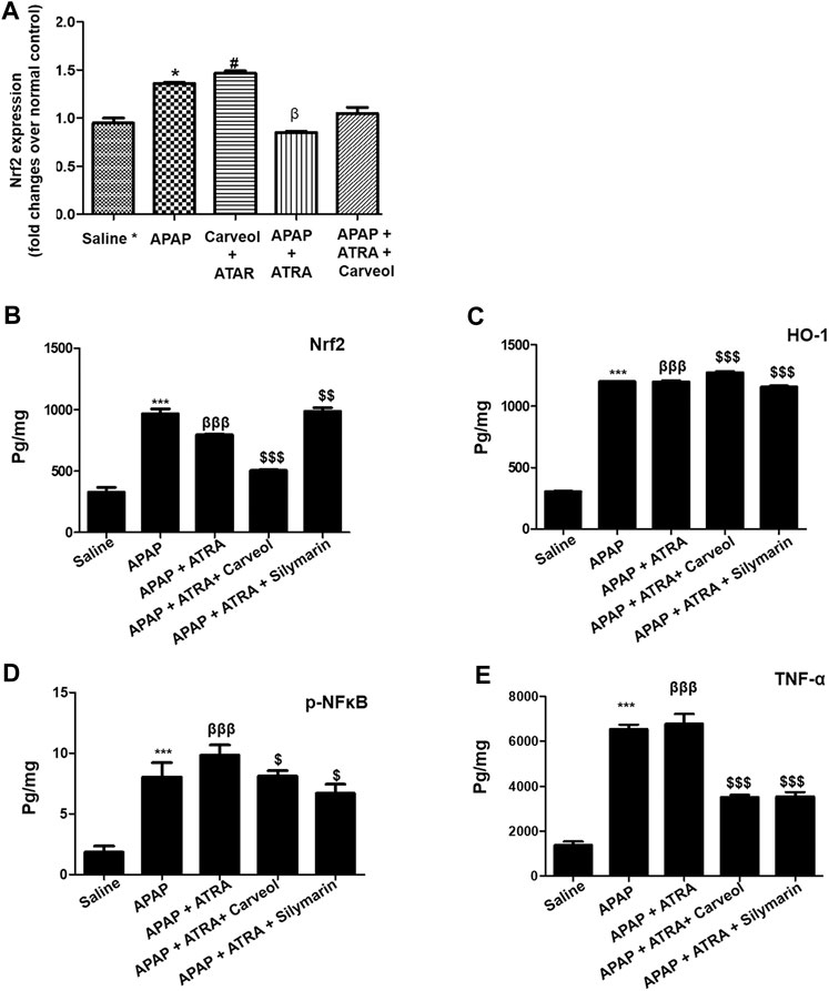 Conformational ensembles of non-peptide ω-conotoxin mimetics and