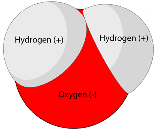 Figure 1 - The structure of a water molecule.